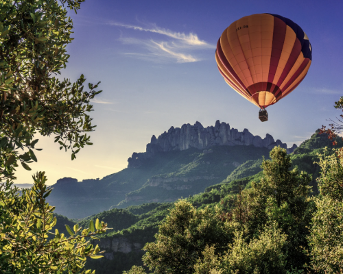 Membership Level 2- The Uplifter