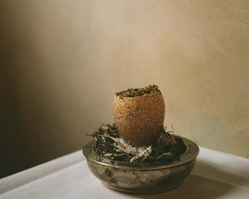 Elvie’s - Mississippi