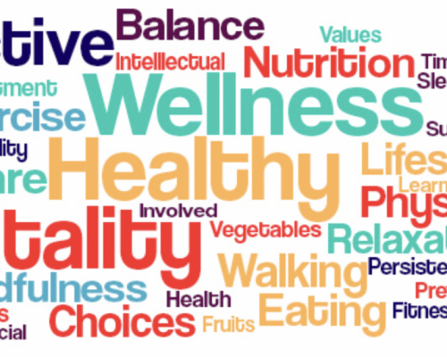 27-28 April - Wellness Summit 2024